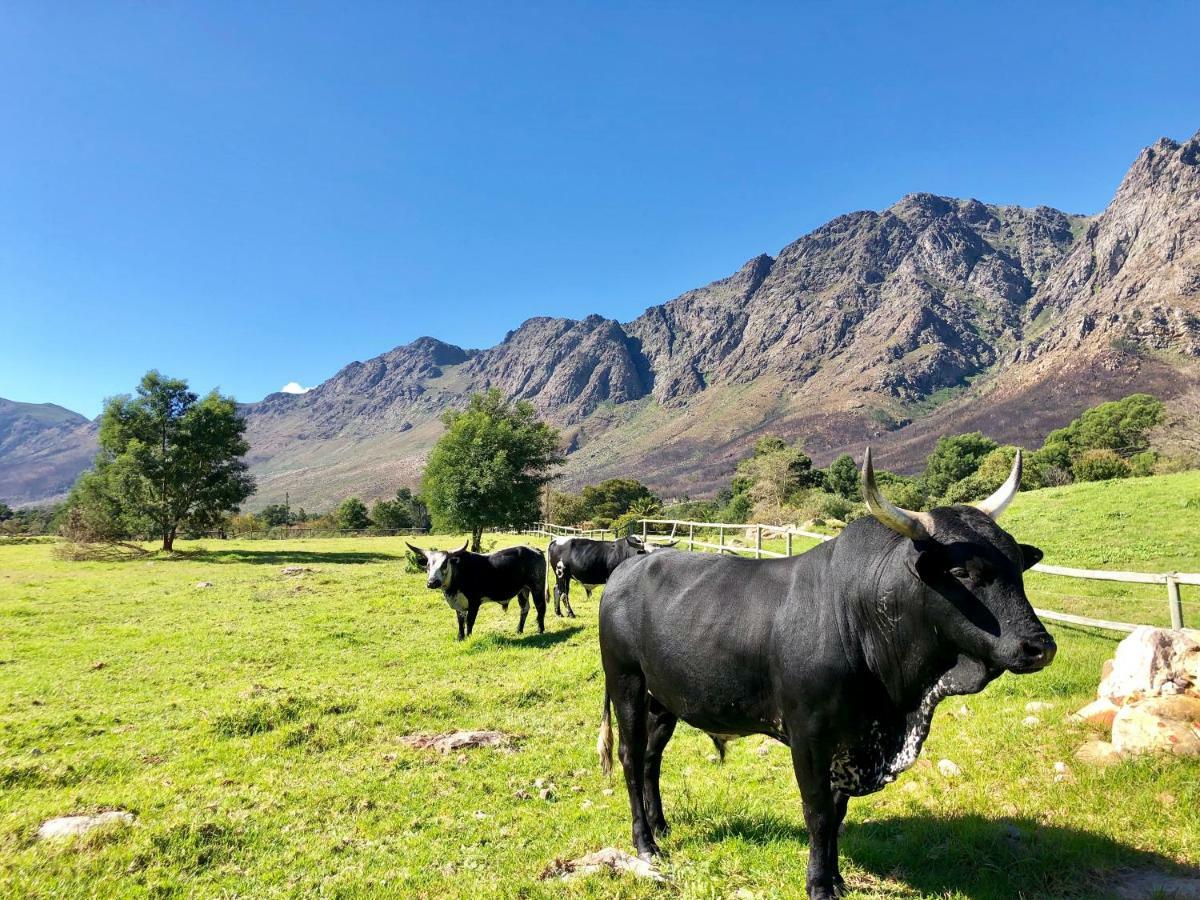 The Barn In Franschoek Pensionat Franschhoek Exteriör bild